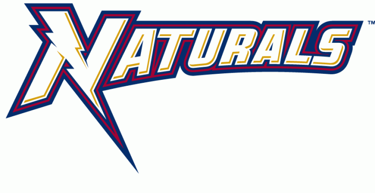 Northwest Arkansas Naturals 2008-Pres Wordmark Logo cricut iron on